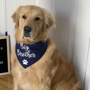 Pañuelo personalizado para perrito